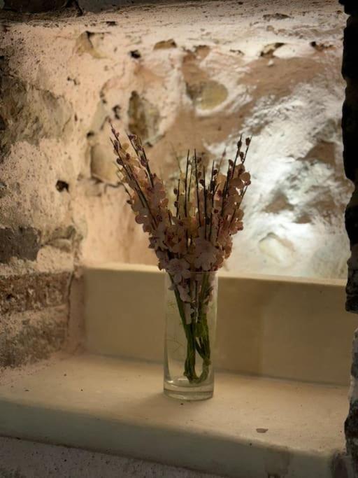 Appartement Vieil Rue Du Bateau *
